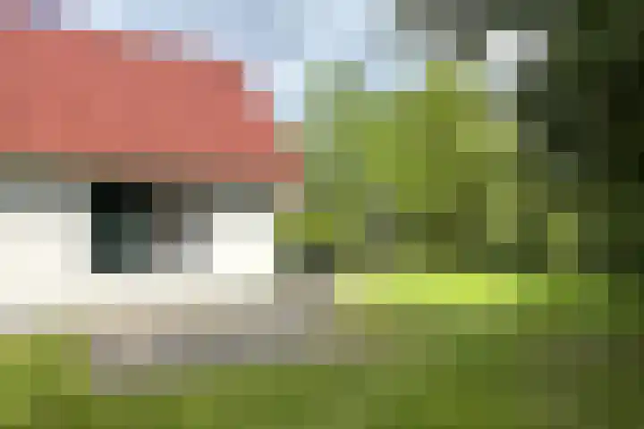 Eversdijk 6 a ZH94 Enter thumbnail 4