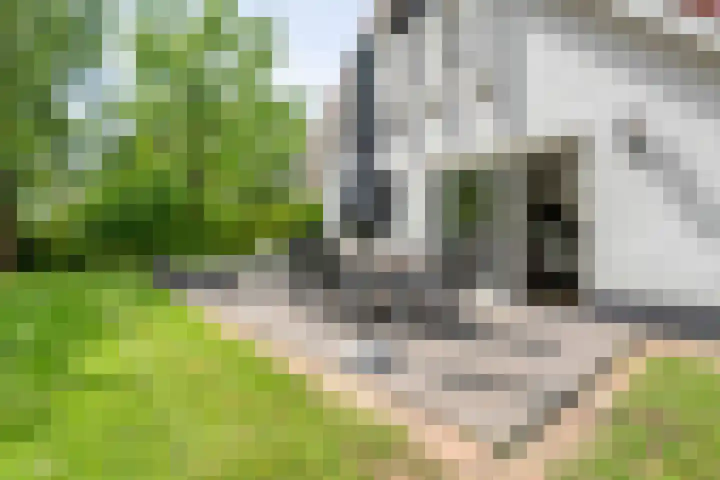 Eversdijk 6 a ZH96 Enter thumbnail 27