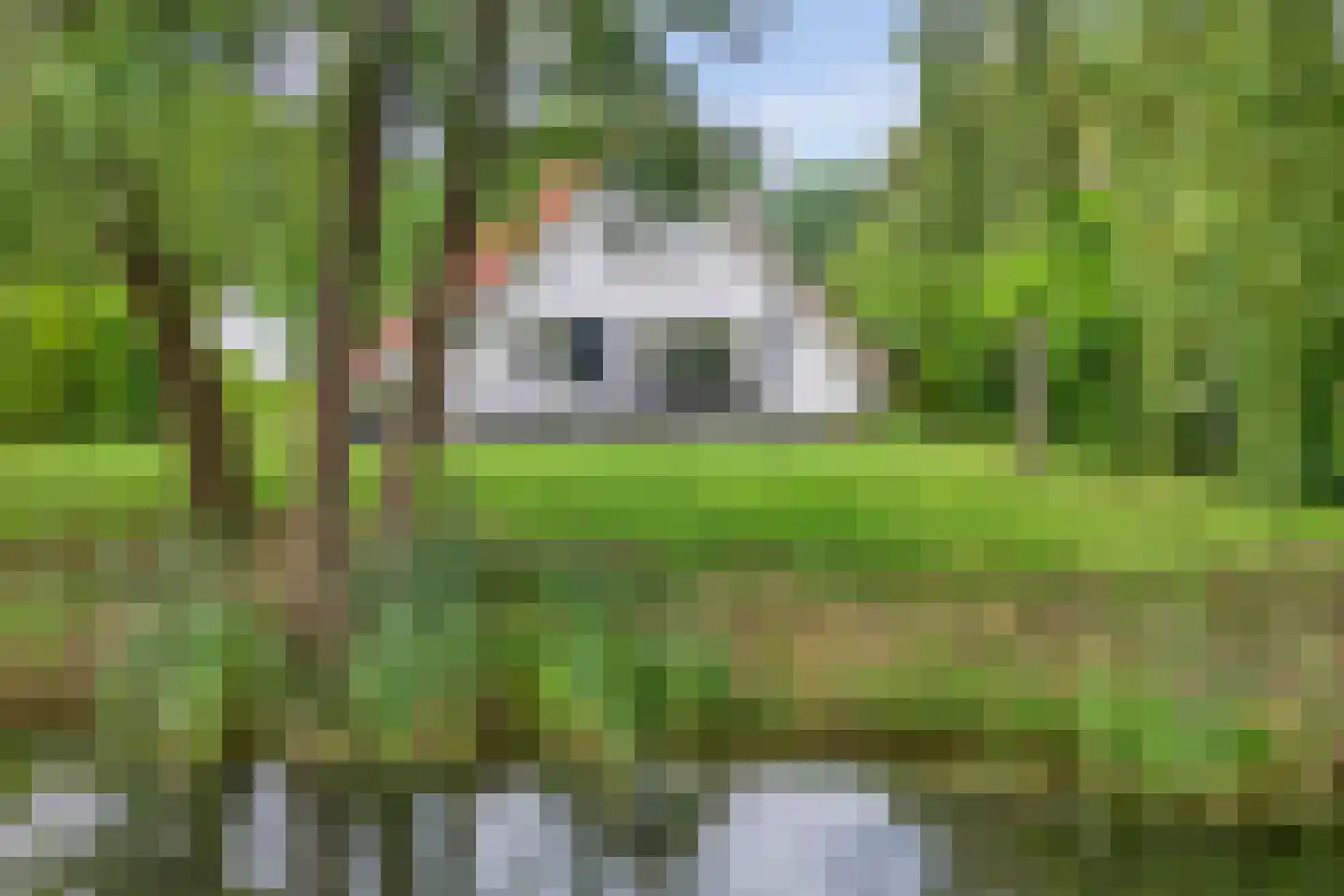 Eversdijk 6 a ZH96 Enter thumbnail 34