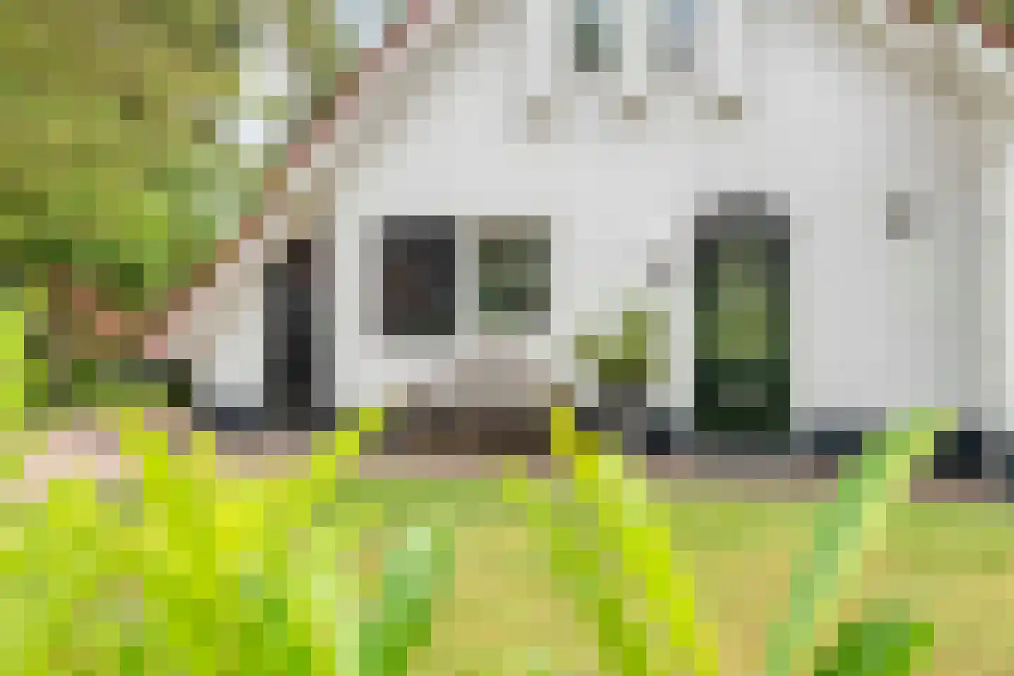 Eversdijk 6 a ZH96 Enter thumbnail 5