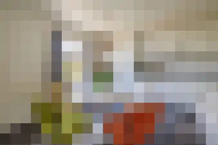 Everse-Dwarsstraat 5 Sint-Oedenrode thumbnail 20