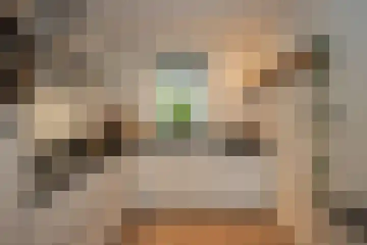 Evershoef 11 Oost West en Middelbeers thumbnail 12