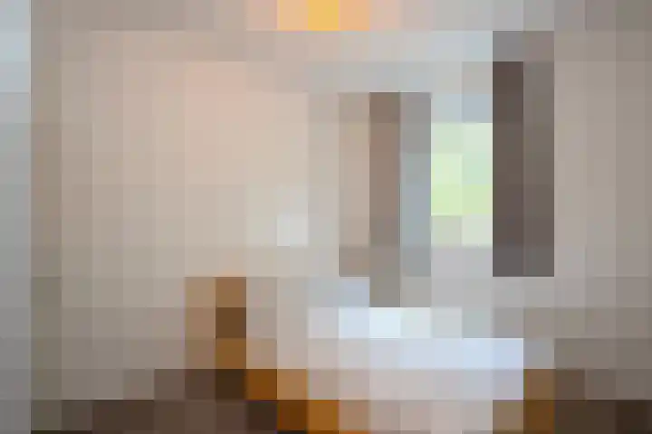 Evershoef 11 Oost West en Middelbeers thumbnail 15