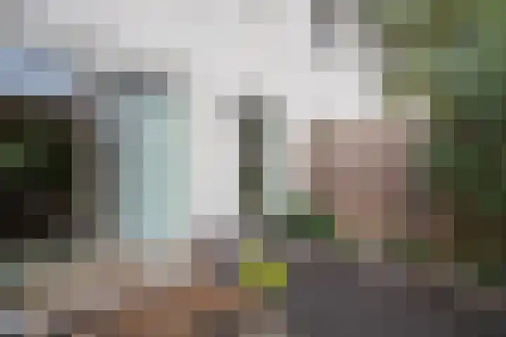 Evershoef 11 Oost West en Middelbeers thumbnail 22
