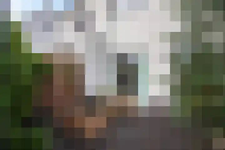 Evershoef 11 Oost West en Middelbeers thumbnail 23