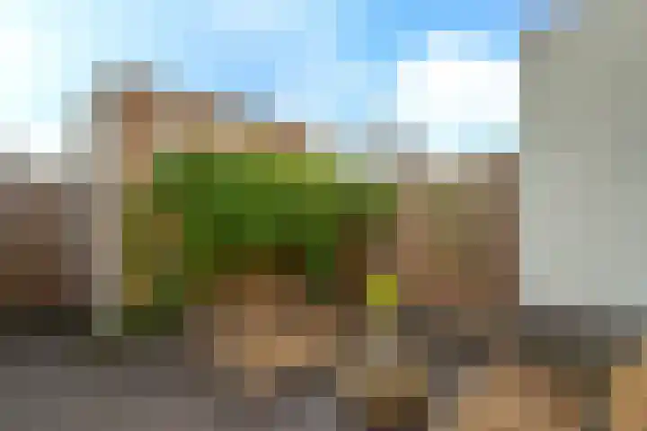 Evershoef 11 Oost West en Middelbeers thumbnail 24