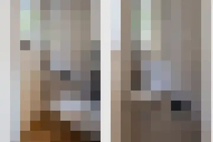 Evershoef 11 Oost West en Middelbeers thumbnail 4