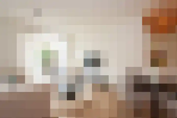 Evershoef 11 Oost West en Middelbeers thumbnail 6