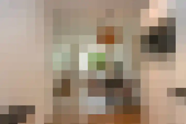 Evershoef 11 Oost West en Middelbeers thumbnail 9