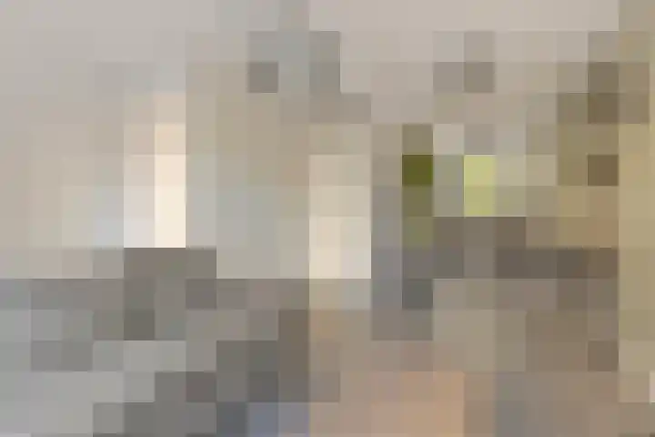Evershoef 17 Oost West en Middelbeers thumbnail 10
