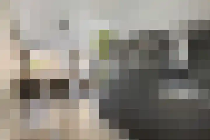 Evershoef 17 Oost West en Middelbeers thumbnail 11