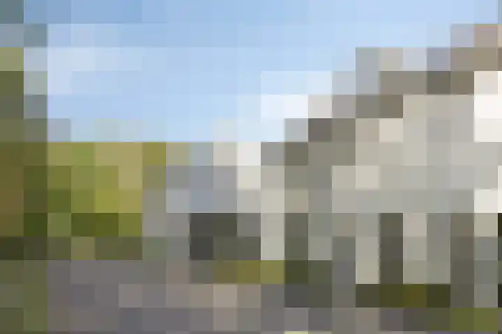 Evershoef 17 Oost West en Middelbeers thumbnail 24