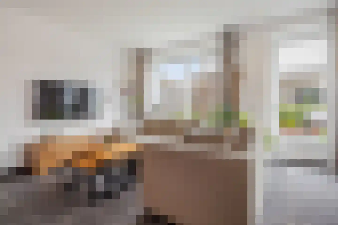 Evershoef 19 Oost West en Middelbeers thumbnail 12
