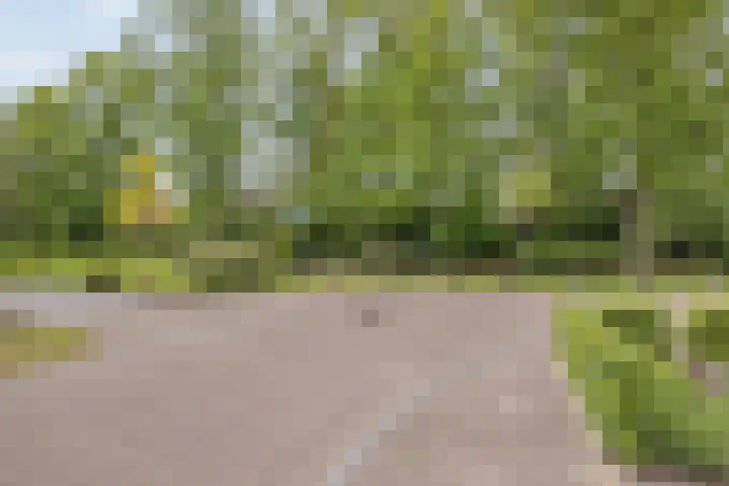 Evershoef 19 Oost West en Middelbeers thumbnail 5