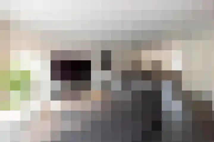 Evershoef 6 Oost West en Middelbeers thumbnail 10