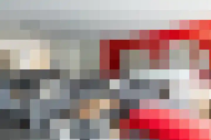 Evershoef 6 Oost West en Middelbeers thumbnail 11