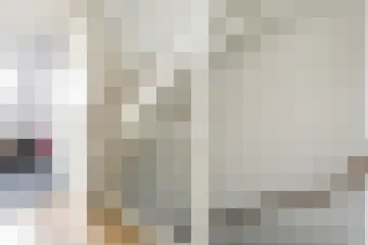 Evershoef 6 Oost West en Middelbeers thumbnail 19