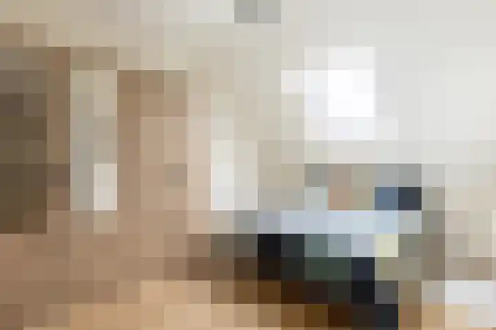 Evershoef 6 Oost West en Middelbeers thumbnail 22