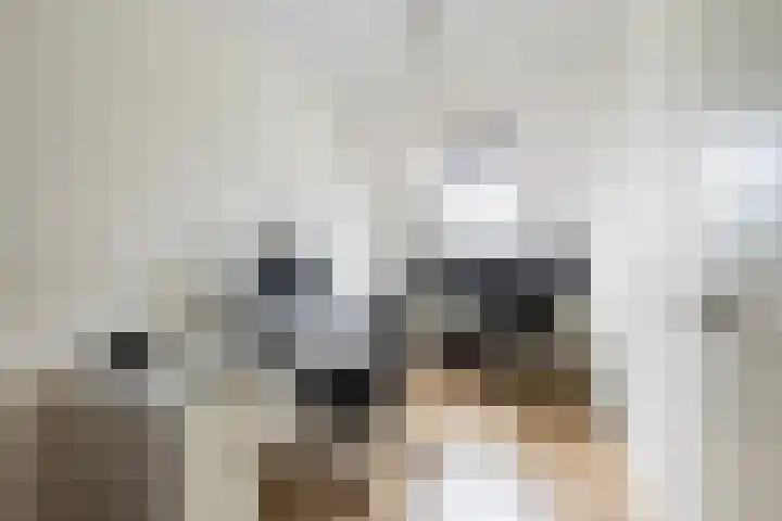 Evershoef 6 Oost West en Middelbeers thumbnail 23