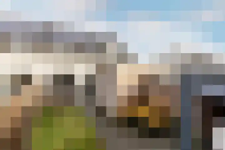 Evershoef 6 Oost West en Middelbeers thumbnail 29