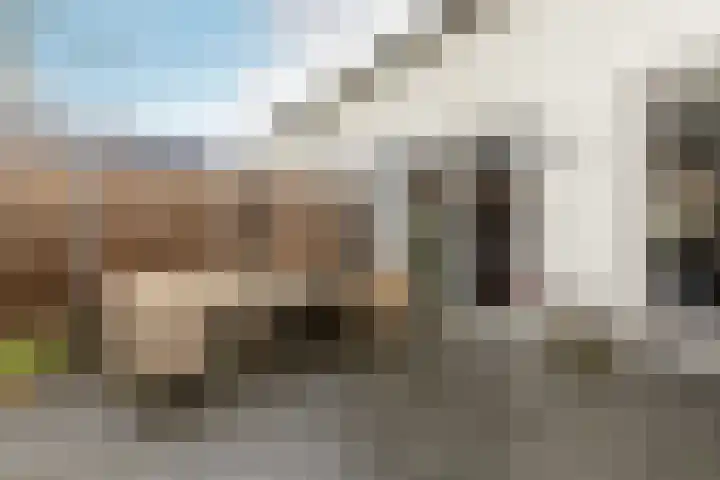 Evershoef 6 Oost West en Middelbeers thumbnail 30