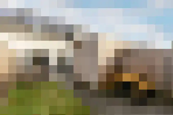 Evershoef 6 Oost West en Middelbeers thumbnail 32