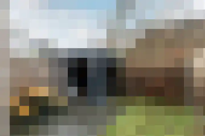 Evershoef 6 Oost West en Middelbeers thumbnail 33
