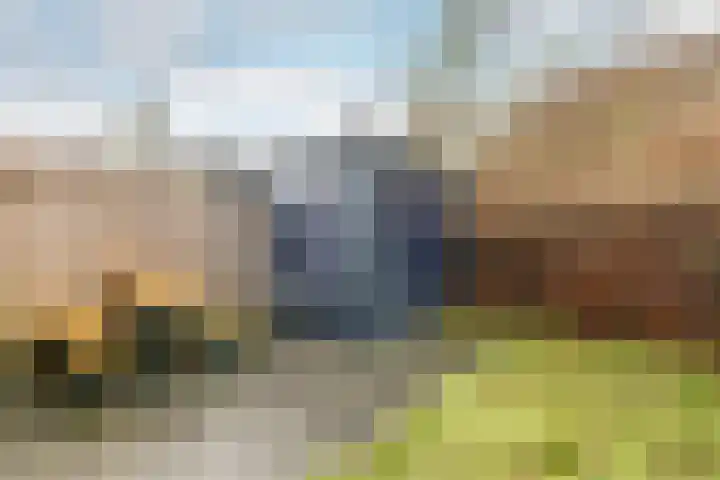 Evershoef 6 Oost West en Middelbeers thumbnail 34