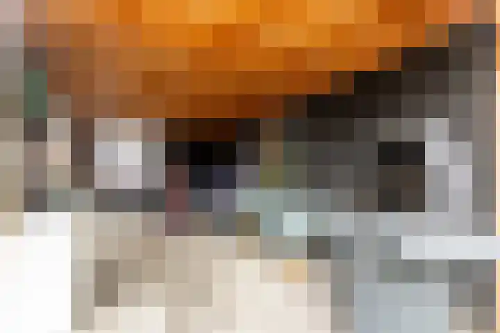 Evershoef 6 Oost West en Middelbeers thumbnail 37