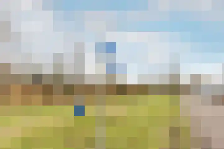 Evershoef 6 Oost West en Middelbeers thumbnail 43