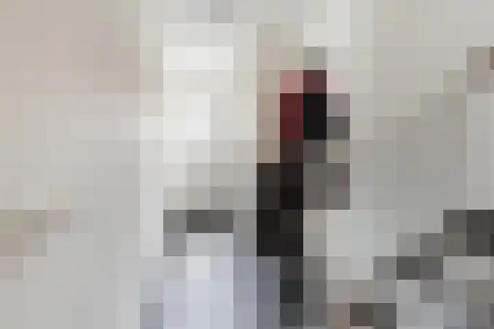 Evershoef 6 Oost West en Middelbeers thumbnail 7