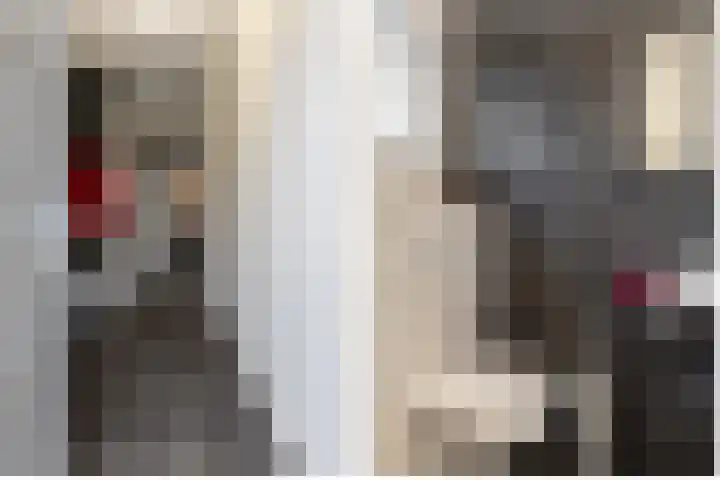 Evershoef 6 Oost West en Middelbeers thumbnail 8