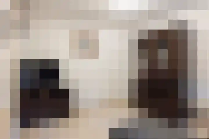 Everstraat 10 A Einighausen thumbnail 13