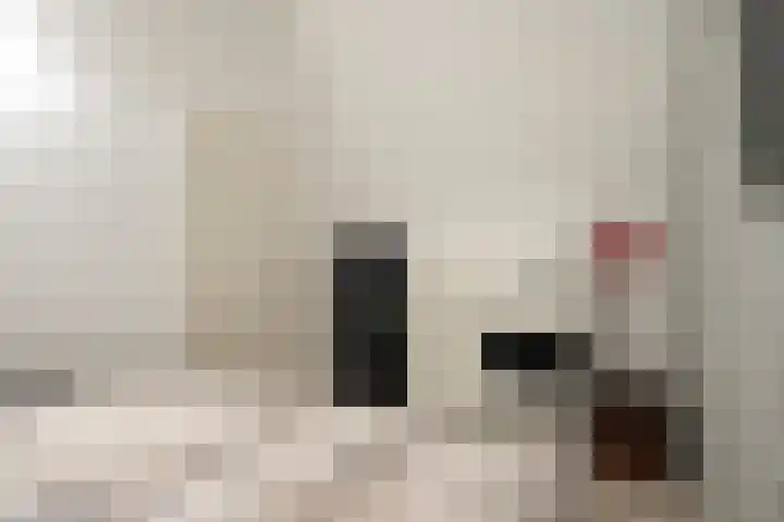 Everstraat 10 A Einighausen thumbnail 21