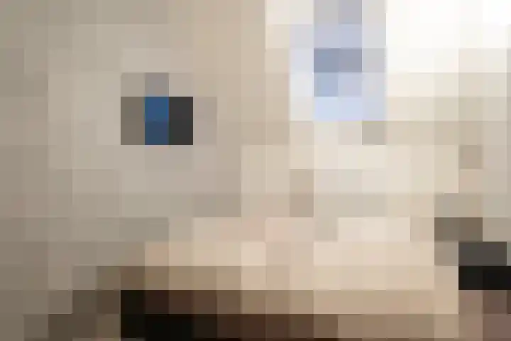 Everstraat 10 A Einighausen thumbnail 6