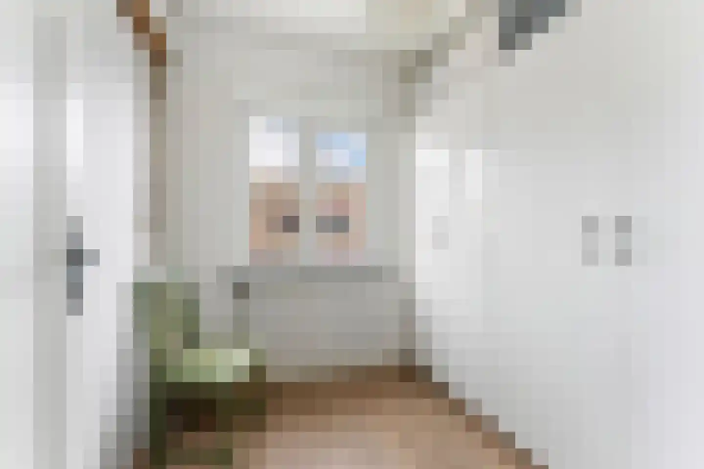 Everstraat 11 Einighausen thumbnail 24