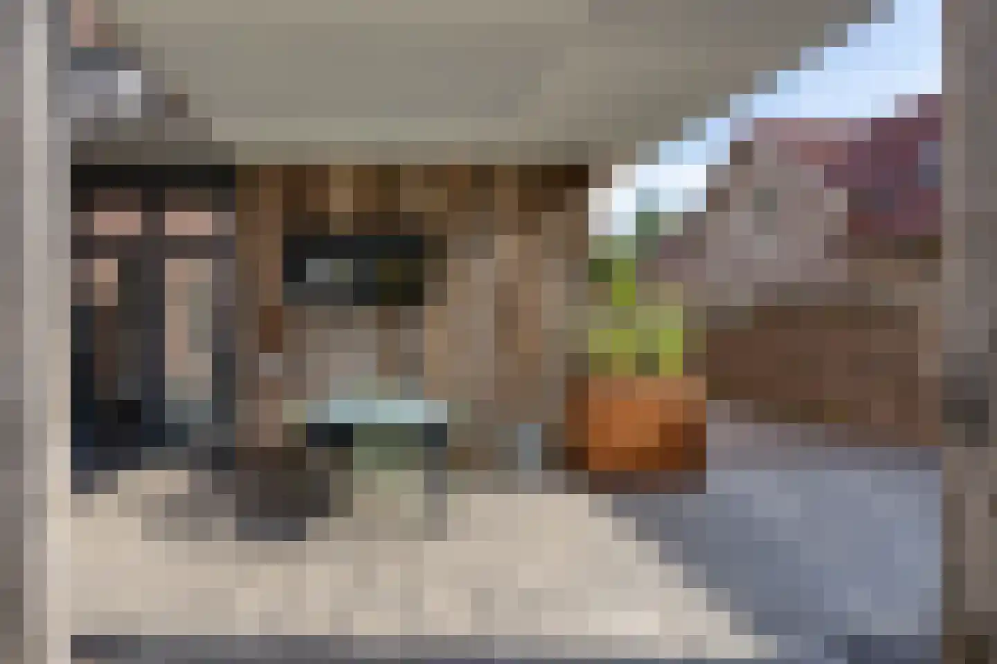 Everstraat 11 Einighausen thumbnail 25