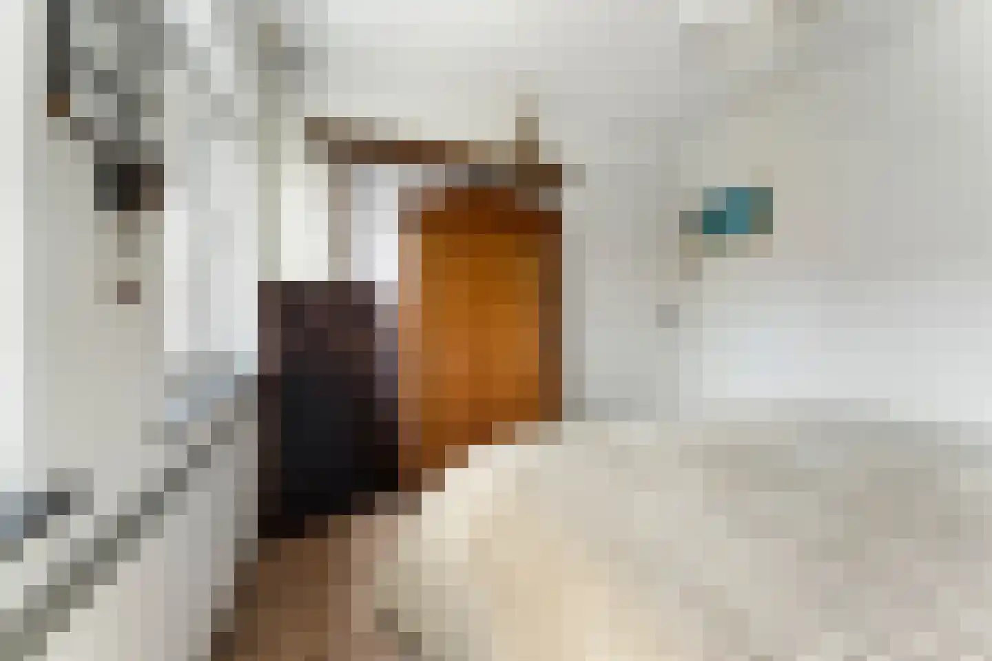 Everstraat 11 Einighausen thumbnail 38