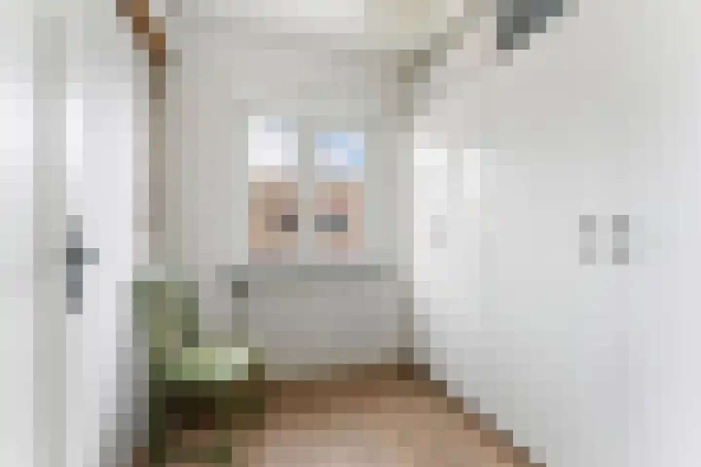 Everstraat 11 Einighausen thumbnail 41