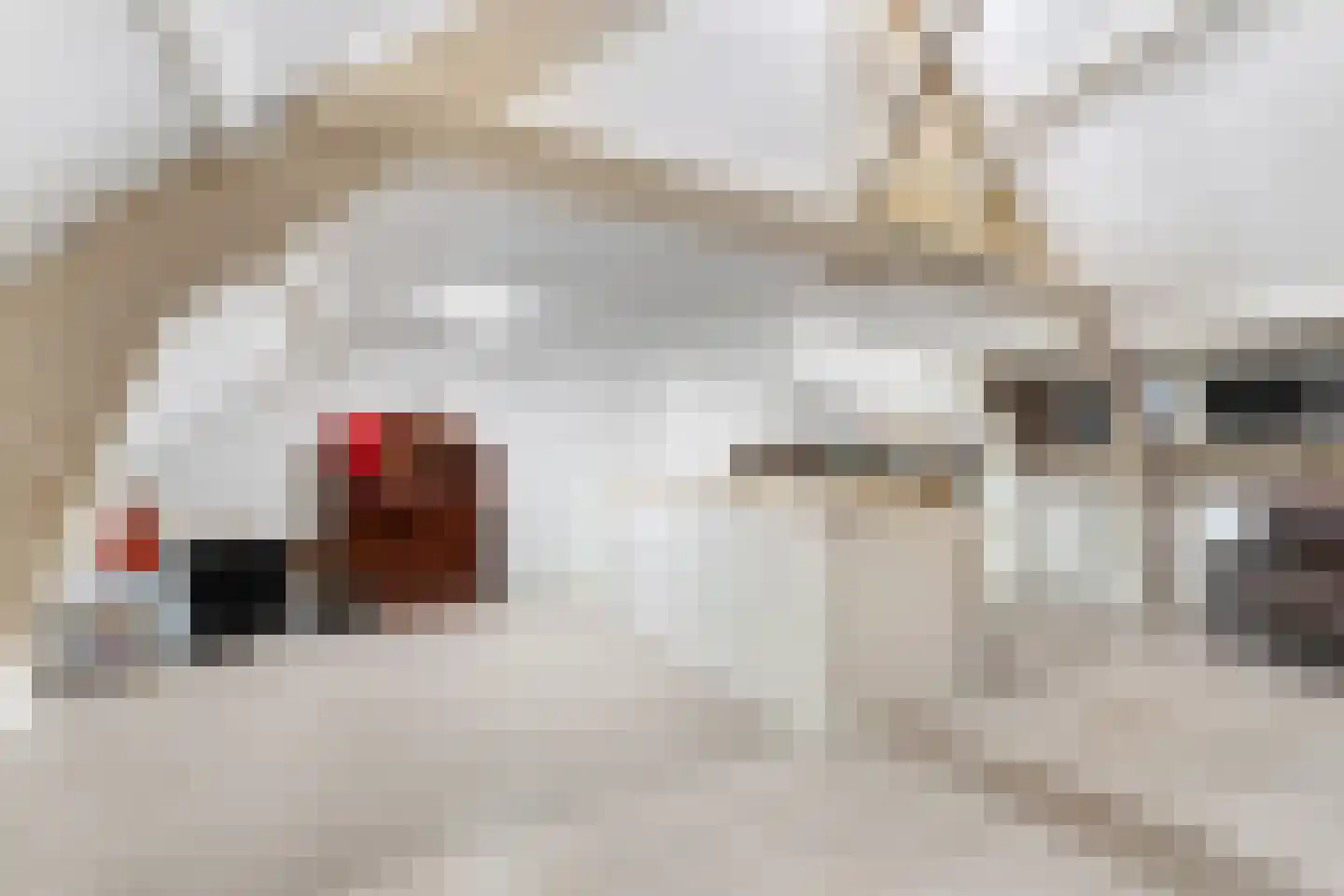 Everstraat 11 Einighausen thumbnail 42