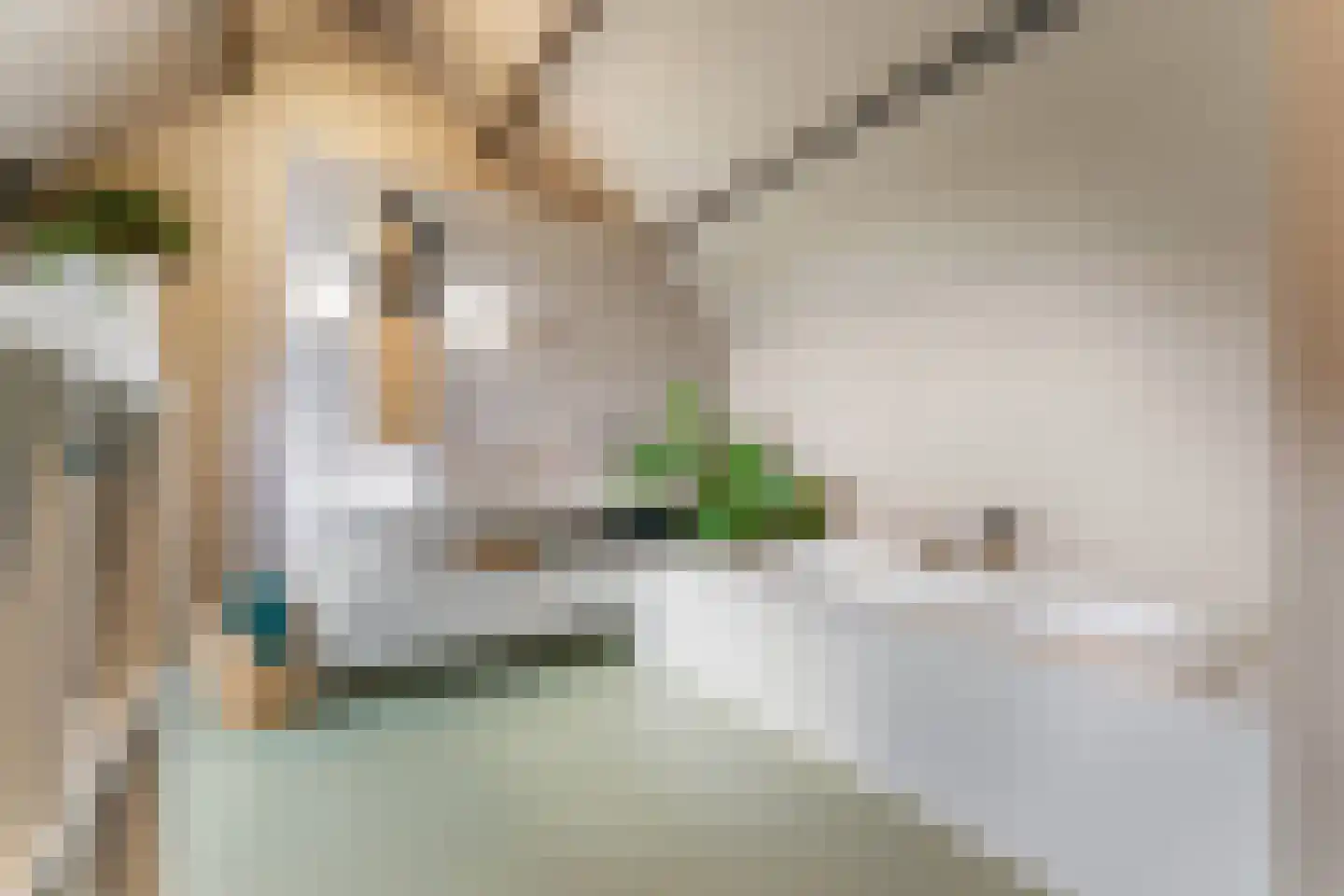 Everstraat 11 Einighausen thumbnail 6