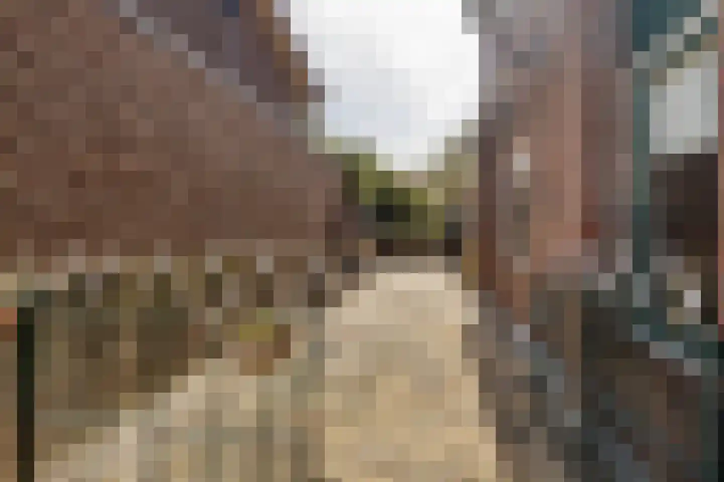 Everstraat 14 Einighausen thumbnail 38