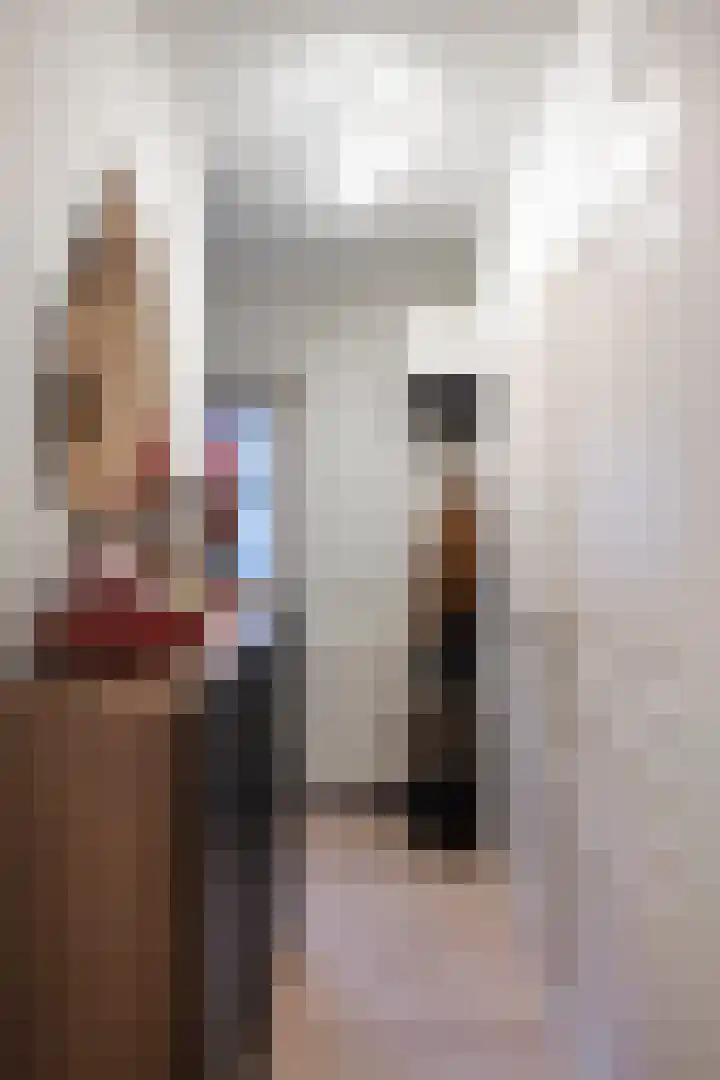 Everstraat 36 F Einighausen thumbnail 11