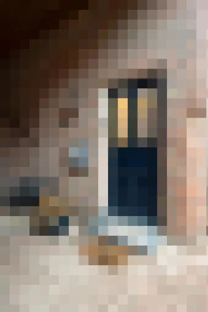 Everstraat 36 F Einighausen thumbnail 9
