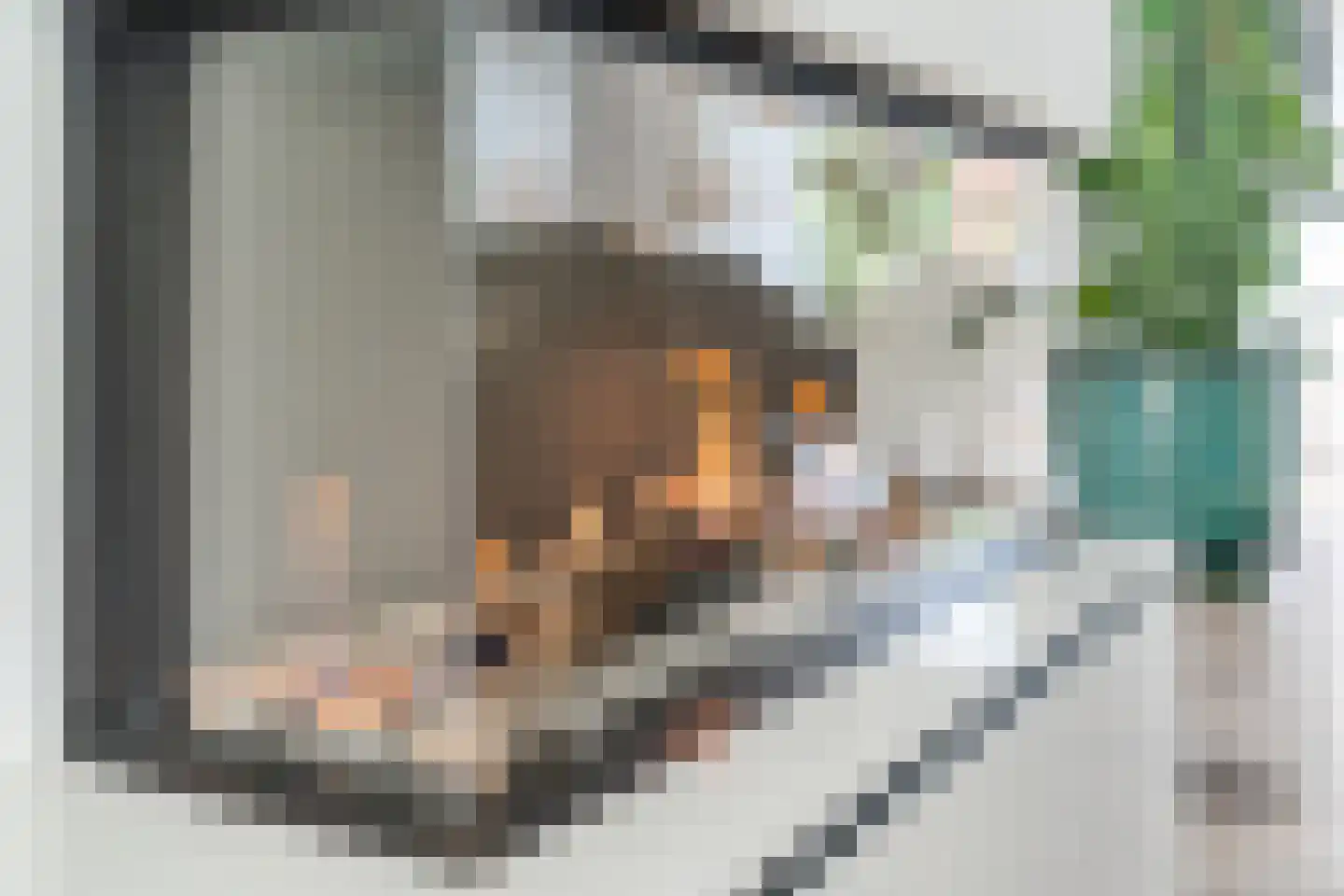 Eversveld 8 Geldrop thumbnail 17