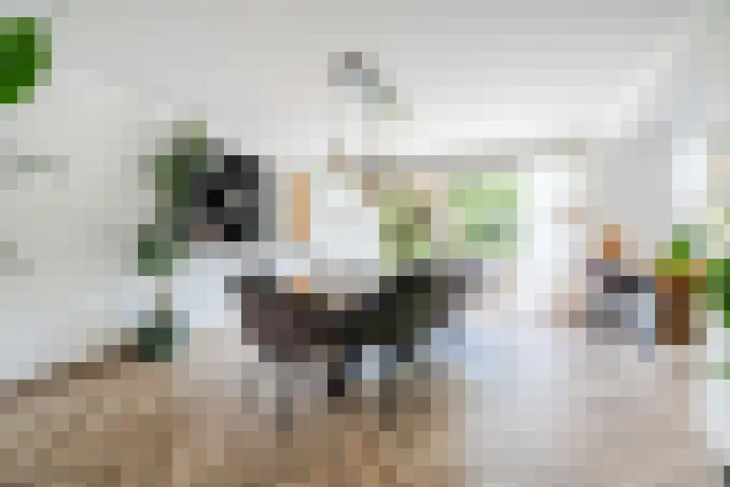 Eversveld 8 Geldrop thumbnail 20