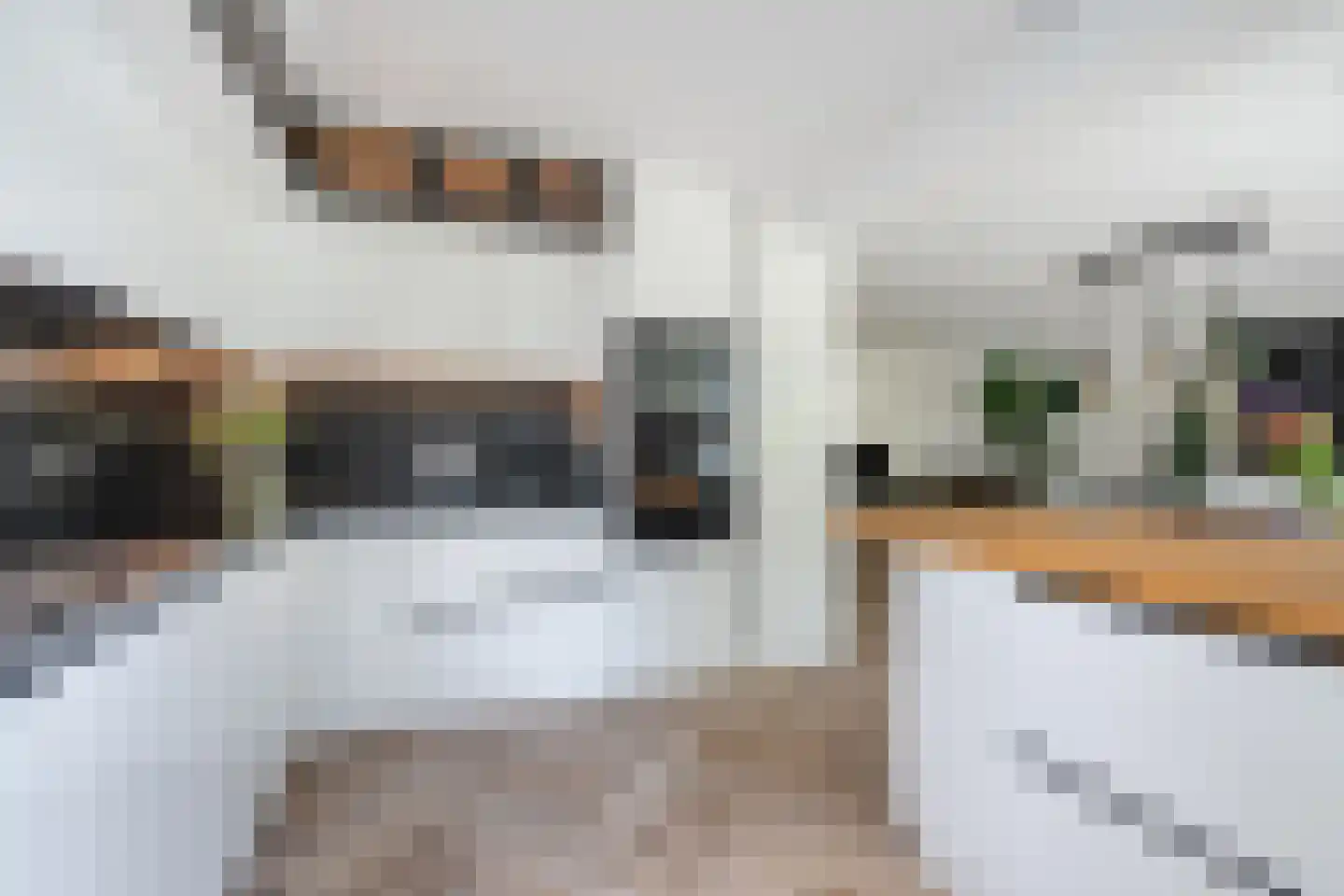 Eversveld 8 Geldrop thumbnail 25