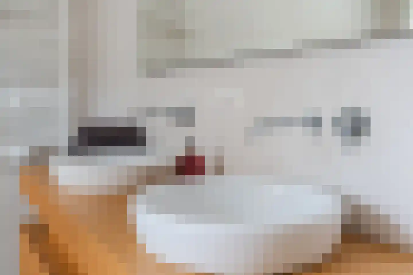 Eversveld 8 Geldrop thumbnail 33