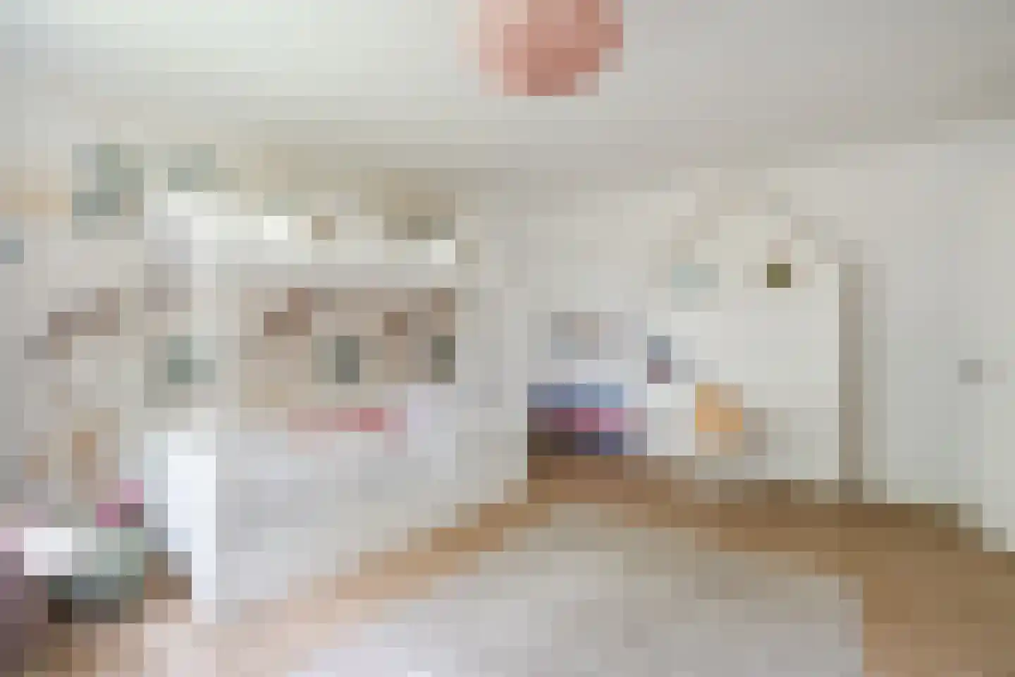 Eversveld 8 Geldrop thumbnail 38