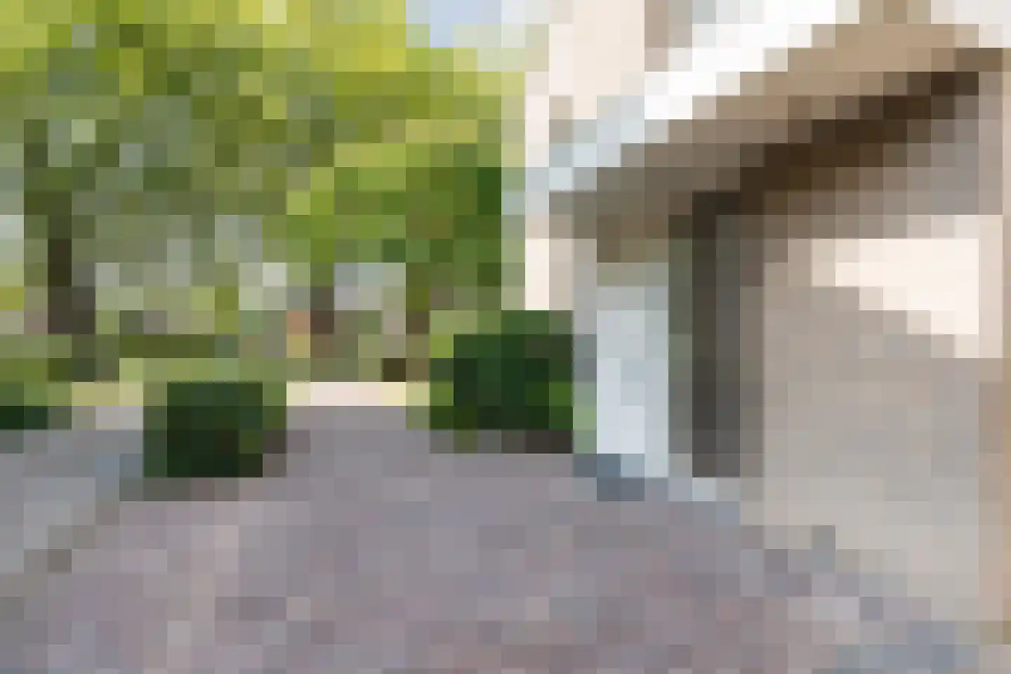 Eversveld 8 Geldrop thumbnail 9